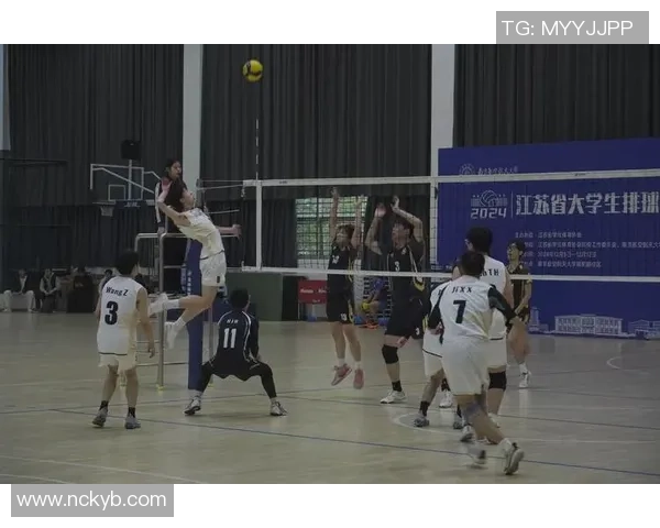 南京排球队的奋斗与荣耀：一段不平凡的排球纪实之旅