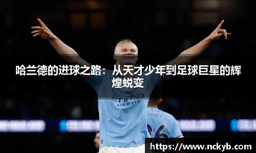 九游体育